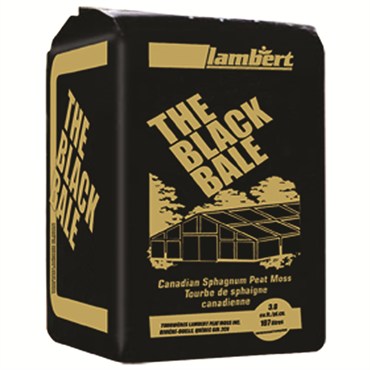 Peat Moss Lambert (3.8 ft)