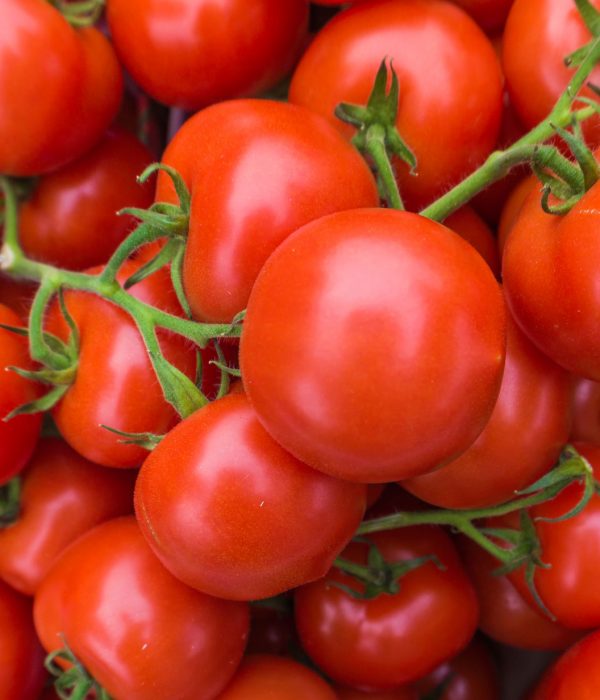 red-tomatoes-tomato-PH63N6F